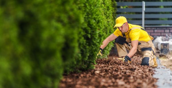Property Upkeep Service