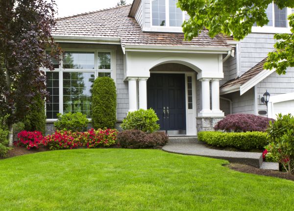 Property Maintenance